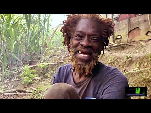 Mad Jamaican Man: Wicked Singer