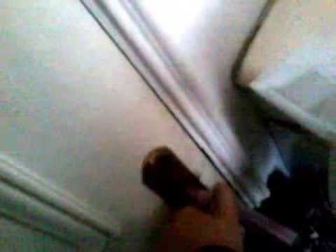 Perro psicopata haha / Dog psychopath