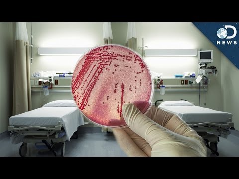 Why Superbugs Thrive In Hospitals