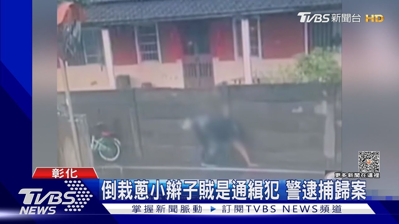 倒栽蔥小辮子賊是通緝犯　警逮捕歸案