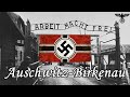 Auschwitz - Birkenau, the Nazi German extermination camp Updated ! (4K video)