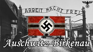 Auschwitz - Birkenau, the Nazi German extermination camp Updated ! (4K video)