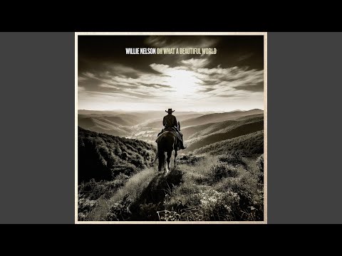 Thumbnail from Forty Miles From Nowhere lyric video by Willie Nelson