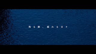 the scented 「残る跡、揺れる日々」　ミュージックビデオ