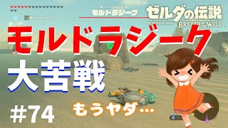 モルドラジークが倒せない【ゼルダの伝説ブレスオブザワイルド女性実況】～今日もゼルダを救えない#74