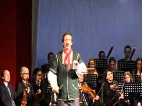 GABRIEL OANA - FLUTURAS NU MAI AI ARIPIOARE - Opera Brasov.wmv