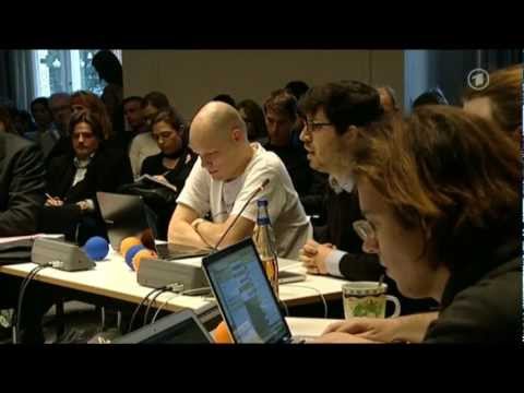 Piraten in der Politik - 100 Tage einer Aufsteigerpartei