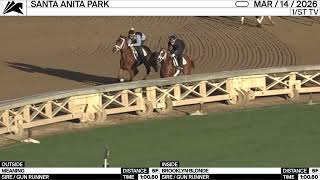 Work of the Day at Santa Anita Park: Meaning &  Brooklyn Blonde worked 5 F on March 14th, 2026
