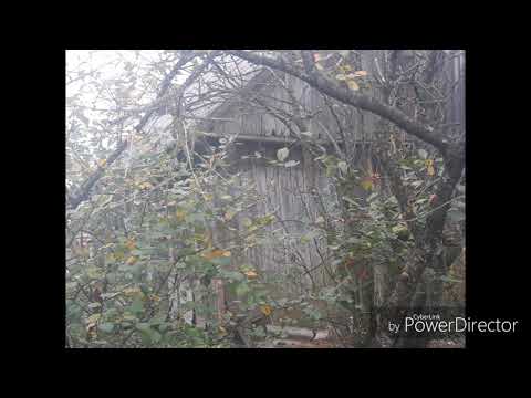 ALEKSAS LEMANAS-NEIŠEIK TU IŠ SODŽIAUS