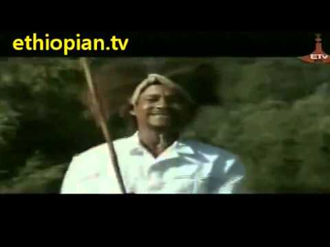 Tafarii Salaalee   Farada Gurraacha