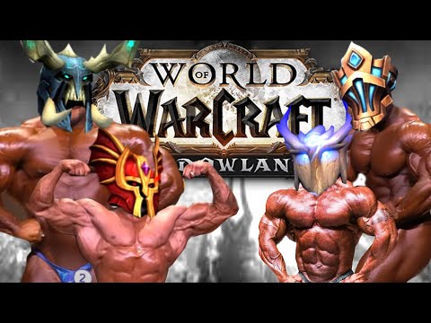 WoW Shadowlands Retribution Paladin Experience