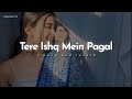 Tere Ishq Mein Pagal Slow Reverb Uditnarayan Alka Yagnik  KuberEditz Lofi