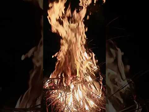 Bonefire ❤️‍🔥💥🔥 #whatsapp #whatsappstatus #ytshorts #friday #viral #trending #hashtag #winter #fire