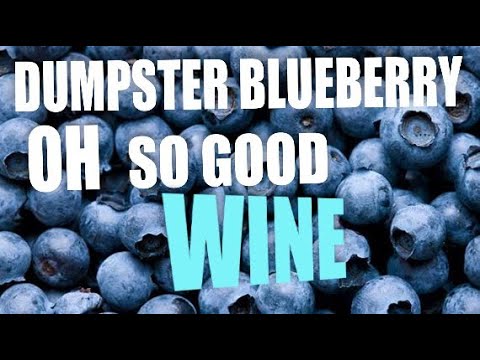 download lagu mp3 mp4 How Many Pints In A Pound Of Blueberries, download lagu How Many Pints In A Pound Of Blueberries gratis, unduh video klip How Many Pints In A Pound Of Blueberries