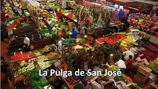 La Pulga de San Jose