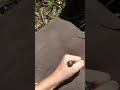 Stabbing A Cushion