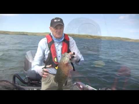 BassPro AM24 Self Inflating Life Vest