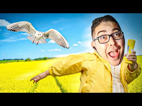 CAN I OUTRUN THE BIRD