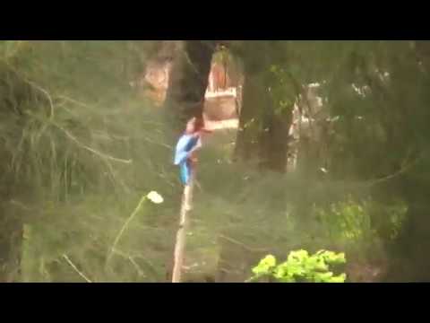 Amazing Nature | Colourful Bird spoted