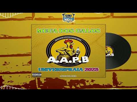 MEGA FUNK DOS GALOS AAPB - UNIVERSIPRAIA 2023 (DJ Caio Carvalho)