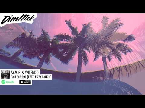 Sam F & Yntendo - All We Got (Feat. Lizzy Land) | Dim Mak Records