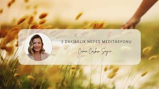 3 Dakikalık Nefes Meditasyonu