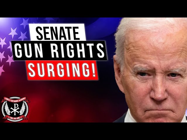Gun Rights candidates are STILL SURGING for the Senate! Could they take it to 54 - 46 Republican?!