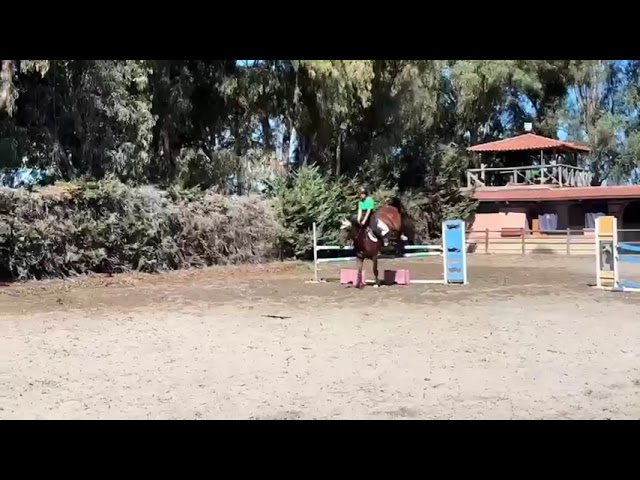 Castrone salto