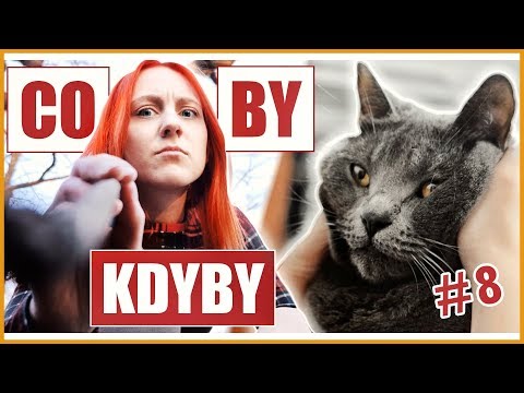 CO BY KDYBY si Natyla pořídila kočku? #8 | NATYLA & Dan