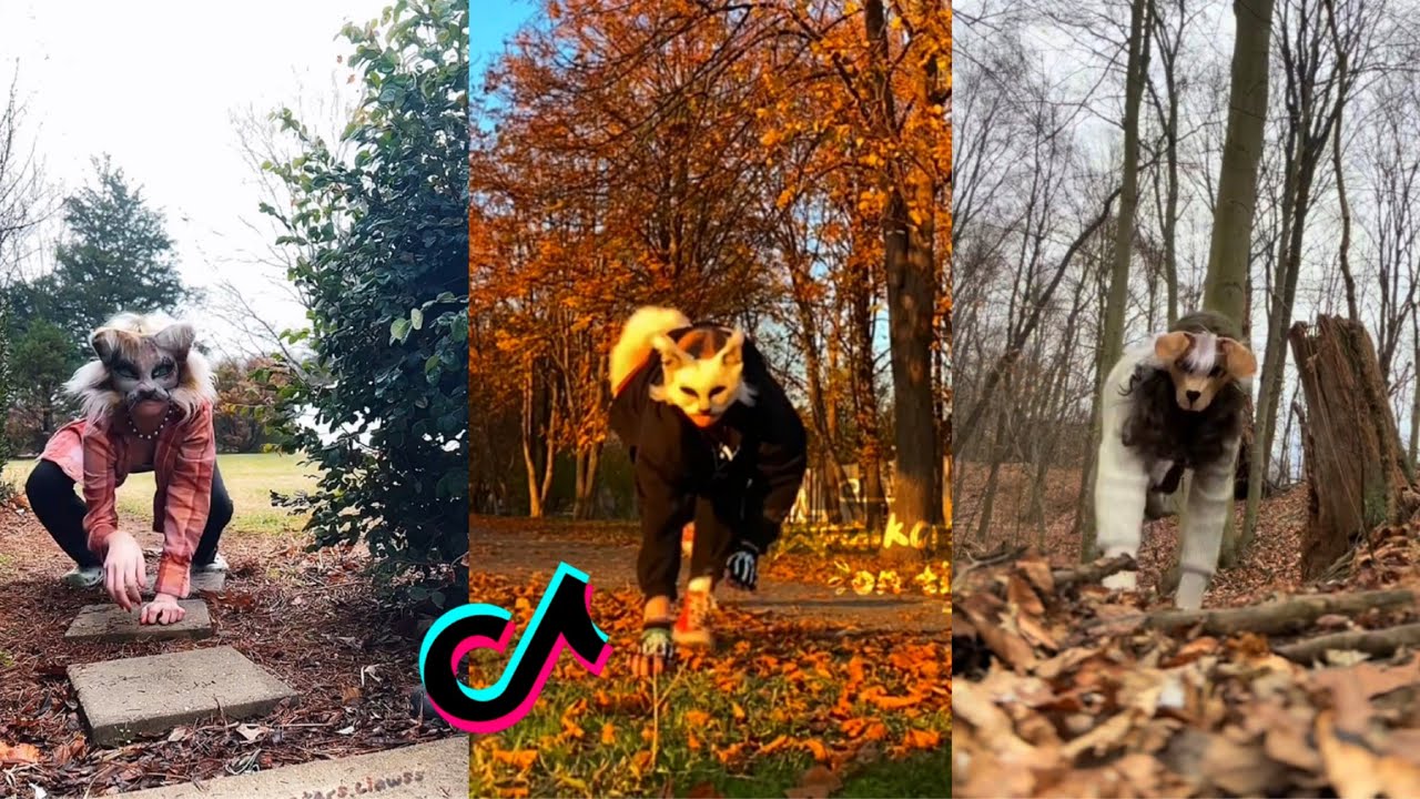 Therian TikTok Compilation #12😻