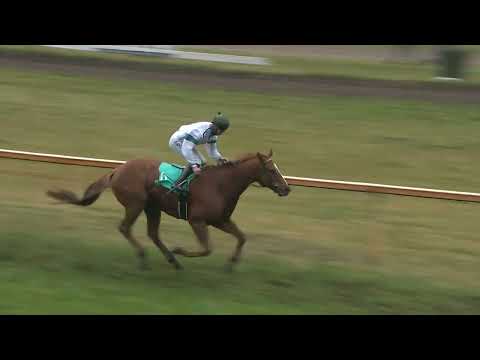 Dostihy Lysá nad Labem 11. 11. 2023 - 7. dostih - Memoriál Václava Špačka