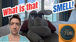 Boarding Surprise You Won’t Believe! 🌿 Cabin Tour of #9708 on Allure of the Seas