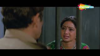 श्रीदेवी की दिल को छू लेने वाली बॉलीवुड की सबसे बड़ी सुपरहिट हिंदी मूवी - SRIDEVI BLOCKBUSTER MOVIE