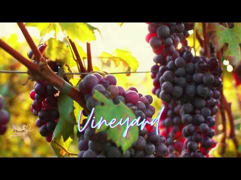 Sondrio Valtellina Tourism