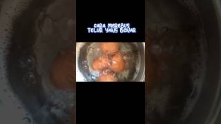Download lagu CARA MEREBUS TELUR YANG BENAR mp3