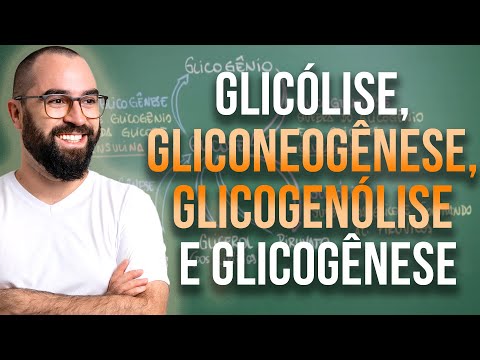Glicólise, Gliconeogênese, Glicogenólise e Glicogênese - Apêndice 3 - Módulo 7: Fisiologia Humana