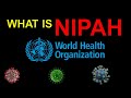 What is Nipah Virus? | Past Outbreaks/Transmission/Signs & symptoms/Treatment | Prevention | WHO/NiV