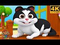 Meow Meow Billi Kerti Meow म्याऊँ म्याऊँ बिल्ली करती म