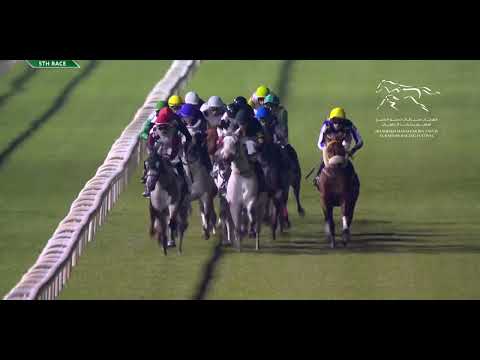 WATHBA STALLIONS CUP FOR PRIVATE OWNERS - ABU DHABI EQUESTRIAN CLUB  |  22/02/2024