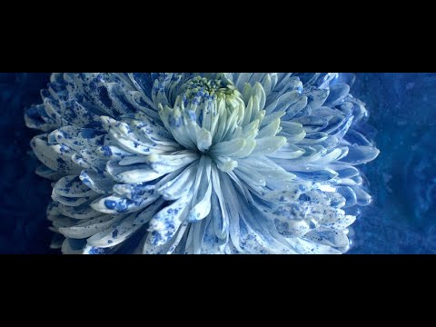 Миниатюра изображения товара Парфюмерная вода Montale Blue Matcha (100мл)