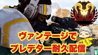 【エペ】ヴァンテージプレデター耐久配信！#エーペックス  #ゲーム実況   #apex   #きらくgamer #shorts