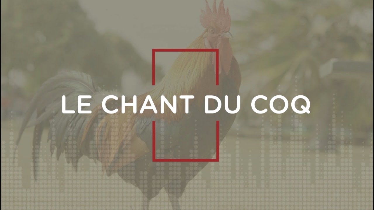 Thumbnail of video: Témoignage d'un ancien musulman devenu pasteur