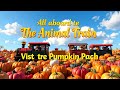 Animal Train Visits The Pumpkin Patch Fun Nursery Rhyme For Kids Zippy Zoo Animal Train Song