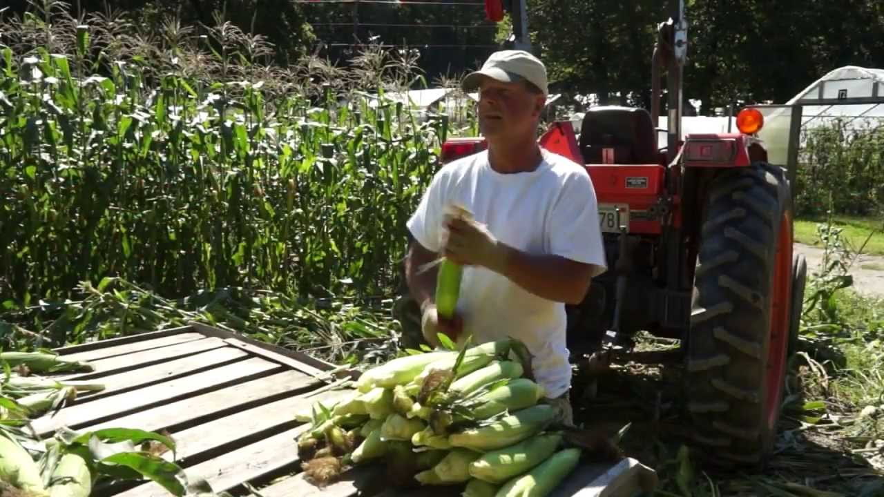 Edgewater Farm, Plainfield, NH... Community Supported Agriculture