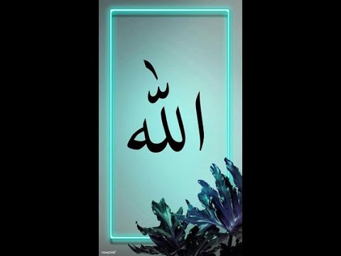 #48 NHỮNG CÂU CHUYỆN ALLAH HƯỚNG DẨN AI TÙY NGÀI MUỐN - CÂU CHUYỆN THỨ HAI