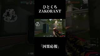 ひとくちZAKORANT【#Shorts】