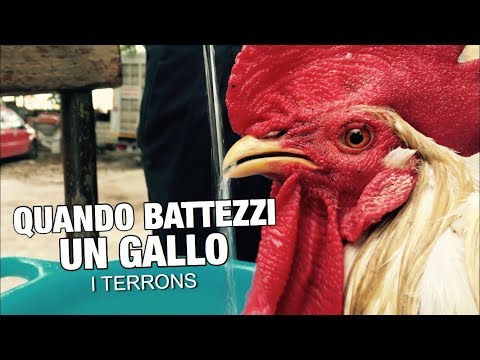 WHEN BATTEZZI A GALLO...
