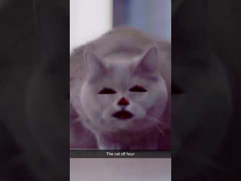 Trappy D comes in from cheating on Dumplin