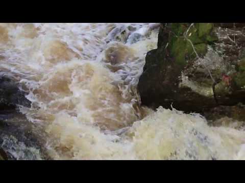 Wilde Wasser in der Steinklamm bei Spiegelau