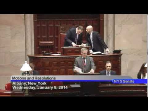 New York State Senate Session - 01/08/14